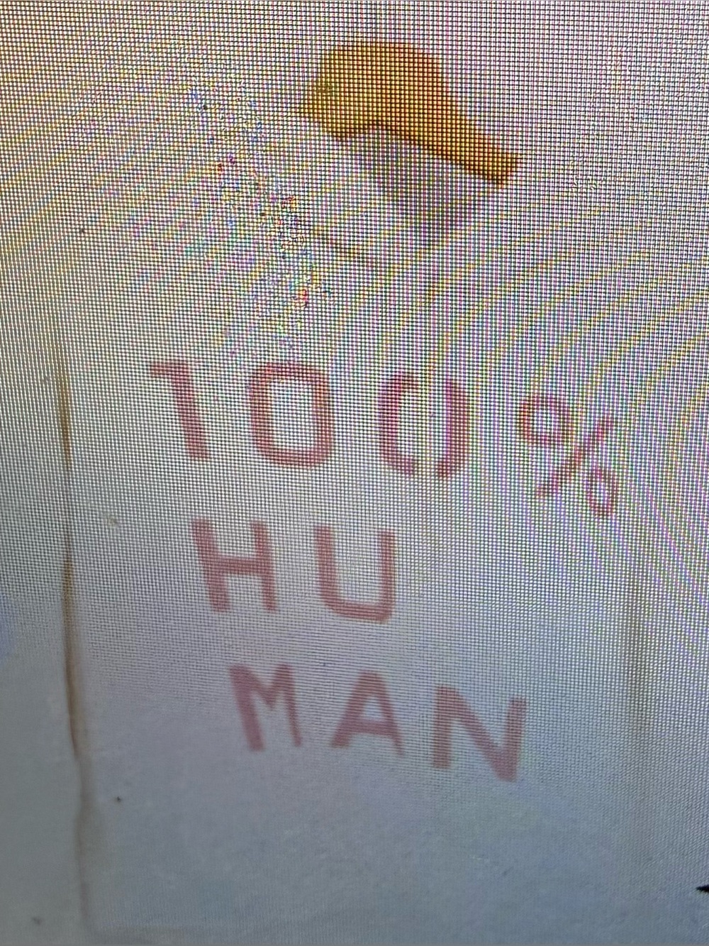 Everlane Cream Crewneck with Pink "100% HUMAN" Graphic